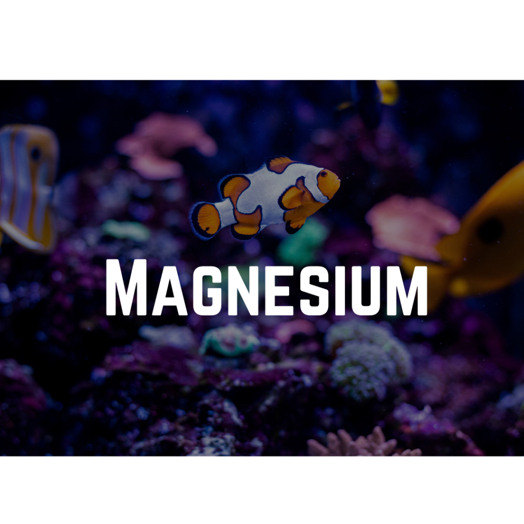 Reef tank magnesium